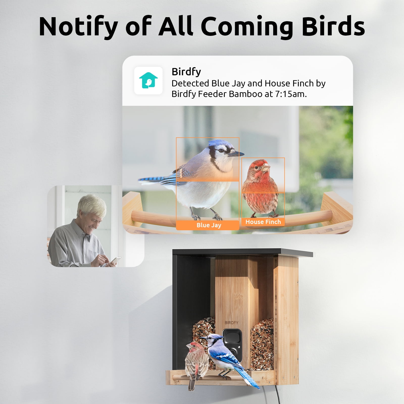 Netvue Birdfy Feeder Cam Review: Fun But Wonky