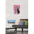 thumbnail image 2 of Keith Kimberlin - Kitten - Cute Wall Poster, 14.725" x 22.375", Framed, 2 of 3
