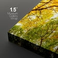 thumbnail image 4 of wall26 Canvas Print Wall Art Set Ground View of Yellow &amp; Green Autumn Trees Nature Wilderness Photography Realism Chic Scenic Relax/Calm Multicolor for Living Room, Bedroom, Office - 24"x36&, 4 of 5