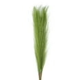 thumbnail image 1 of Uxcell 8Pcs Hierba Pampas Falsa 21" Pampas Falsas para Decoración de Bodas Verde Hierba, 1 of 7