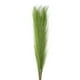 thumbnail image 1 of Uxcell 8Pcs Hierba Pampas Falsa 21" Pampas Falsas para Decoración de Bodas Verde Hierba, 1 of 7