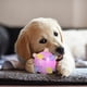 thumbnail image 3 of Pelota de juguete interactiva para perros, pelotas saltarinas y bailarinas con música ligera, funciona con pilas, 3 of 8
