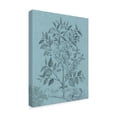 thumbnail image 2 of Trademark Fine Art 'Botanical on Teal V' Canvas Art by Vision Studio, 2 of 4