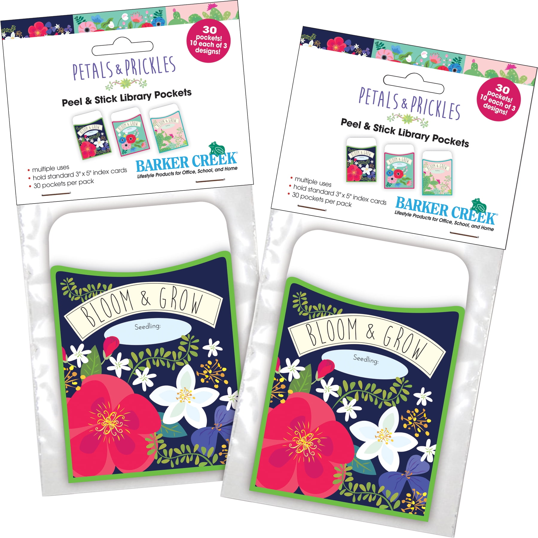 Barker Creek Petals & Prickles Library Pocket Set (3 designs) - Set of 60