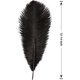 thumbnail image 2 of Nvzi Plumas de avestruz negras, 12 unidades, grandes, naturales, a granel, de 30 a 35 cm, para centros de mesa de bodas, fiestas, Pascua, Gatsby y decoración del hogar., 2 of 5