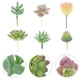 thumbnail image 3 of GOOHOCHY 6 piezas de plantas suculentas artificiales simuladas, plantas suculentas decorativas para paisajismo., 3 of 8