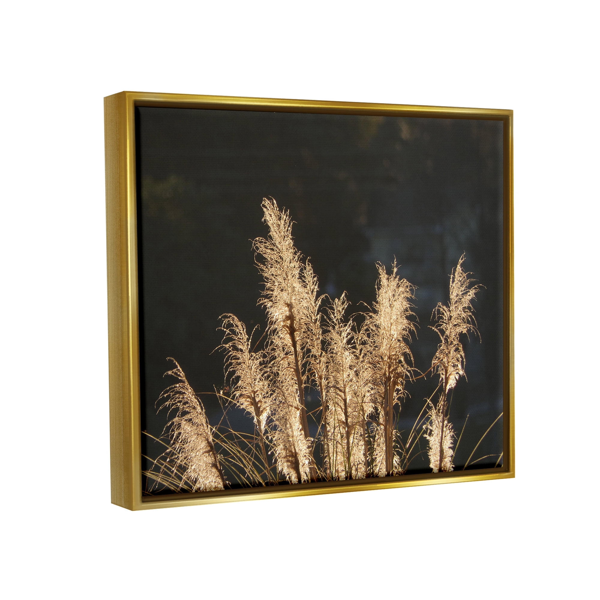 Stupell Industries Dark Wheat Photography Botanical & Floral Photography Gold Floater Framed Canvas Art Print Wall Art, 21 x 17