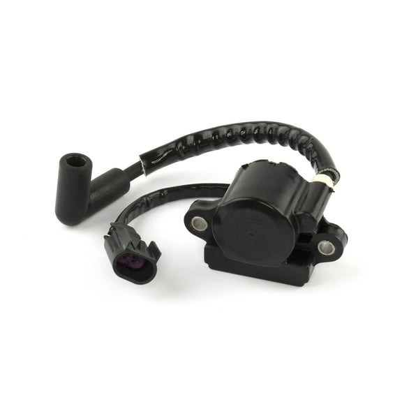 Briggs & Stratton OEM 593856  Coil-Ignition