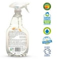 ECOS All Purpose Cleaner, Orange 22 fl oz