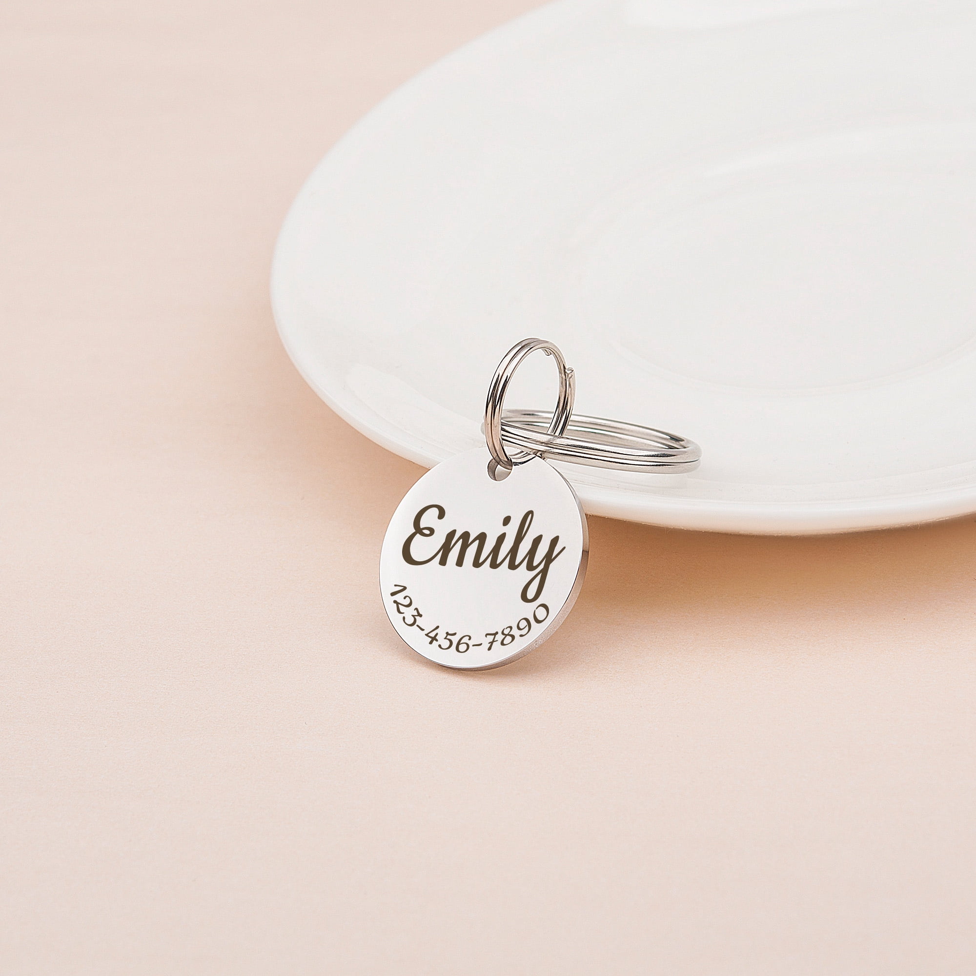 Anavia Stainless Steel Metal Round Name - Phone Number Birthday Holiday Christmas Engraved Dog Cat ID Tag, Silver