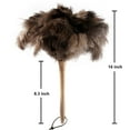 thumbnail image 2 of 2PCS Ostrich Feather Duster 16 Inch Fluffy Natural with Wood Handle Reusable Washable for Cleaning Keyboard,Home,Car,Office Ostrich Feather Duster, 2 of 7