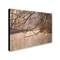 thumbnail image 2 of Trademark Fine Art "Skylight" Canvas Art by Philippe Sainte-Laudy, 2 of 3