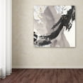 thumbnail image 3 of Galaxy II' Canvas Art by Chris Paschke, 3 of 3