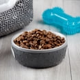 thumbnail image 2 of Pure Balance Wild & Free Grain Free Formula Salmon & Pea Recipe Food for Dogs, 24 lb, 2 of 10