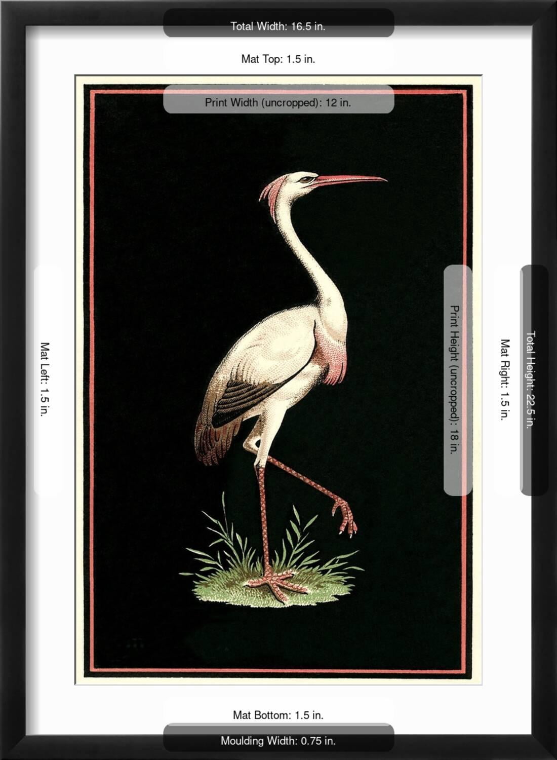 Art.com Crane on Black Background Art Print, Black Frame Wall Art, 17" x 23"