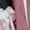 winter coats for women-Pink, variant on Plus Size Jackets for Women Winter Solid Hooded Long Cardigan Sweater Dough Twists Sweater Yellow