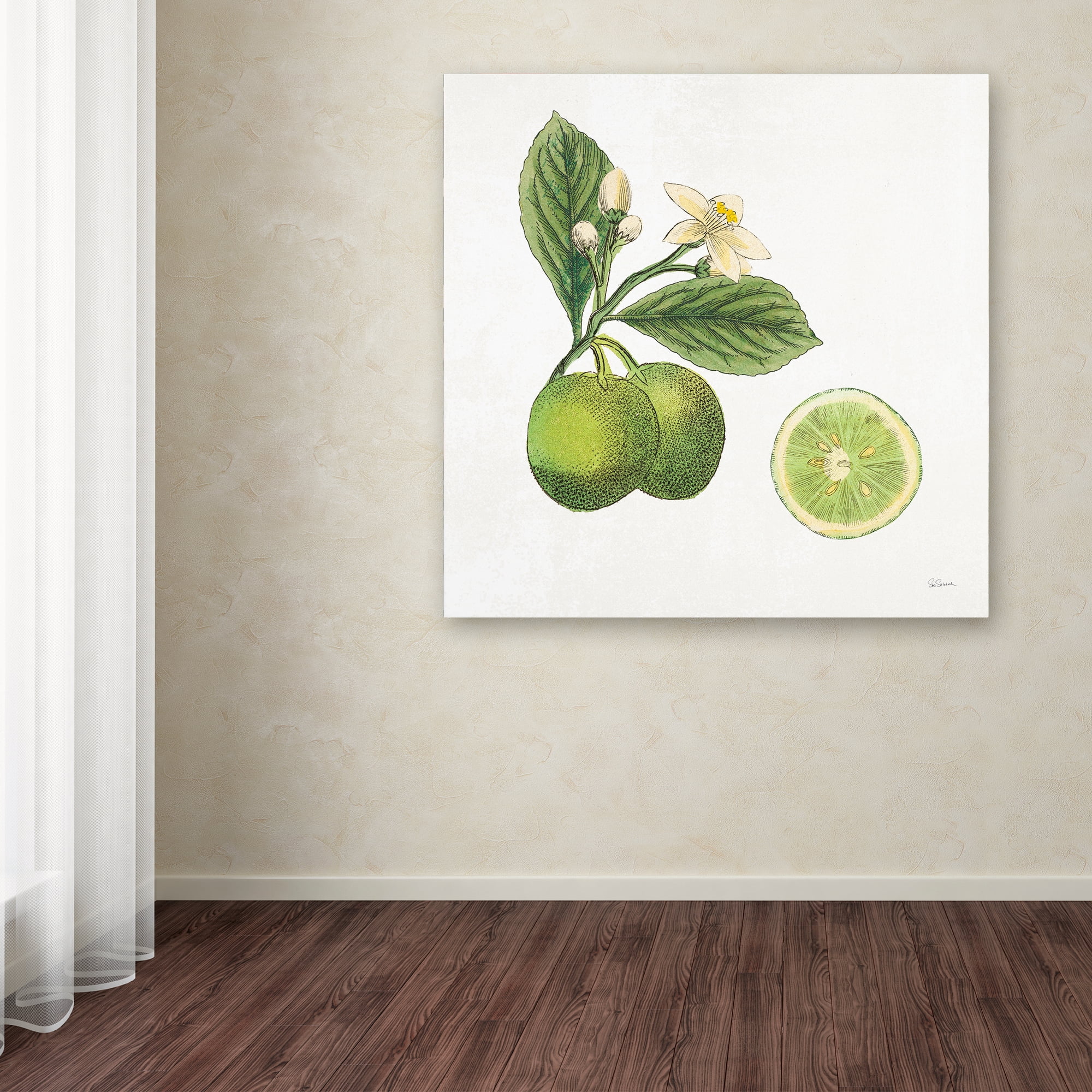 Trademark Fine Art 'Classic Citrus III' Canvas Art by Sue Schlabach