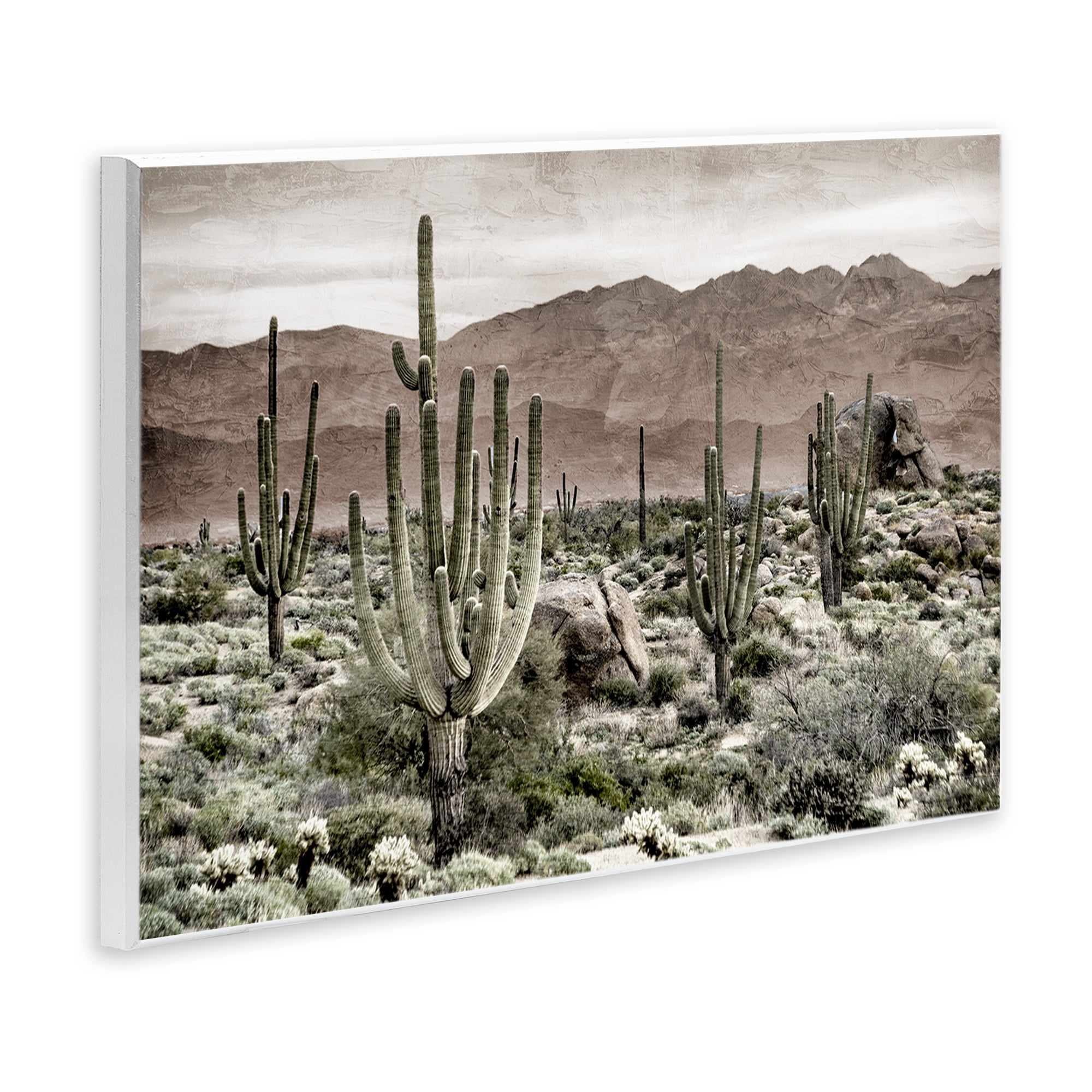 Stupell Industries Desert Land Cacti Wilderness Wall Plaque Art, design by Kim Allen