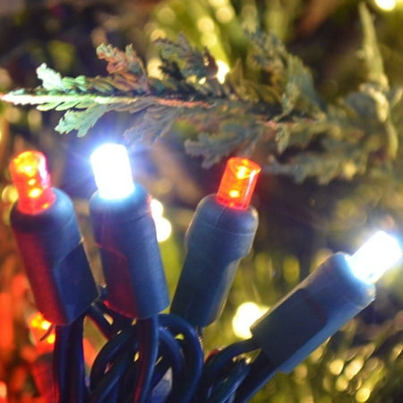 Red/White LED Concave Lights - Commercial Grade