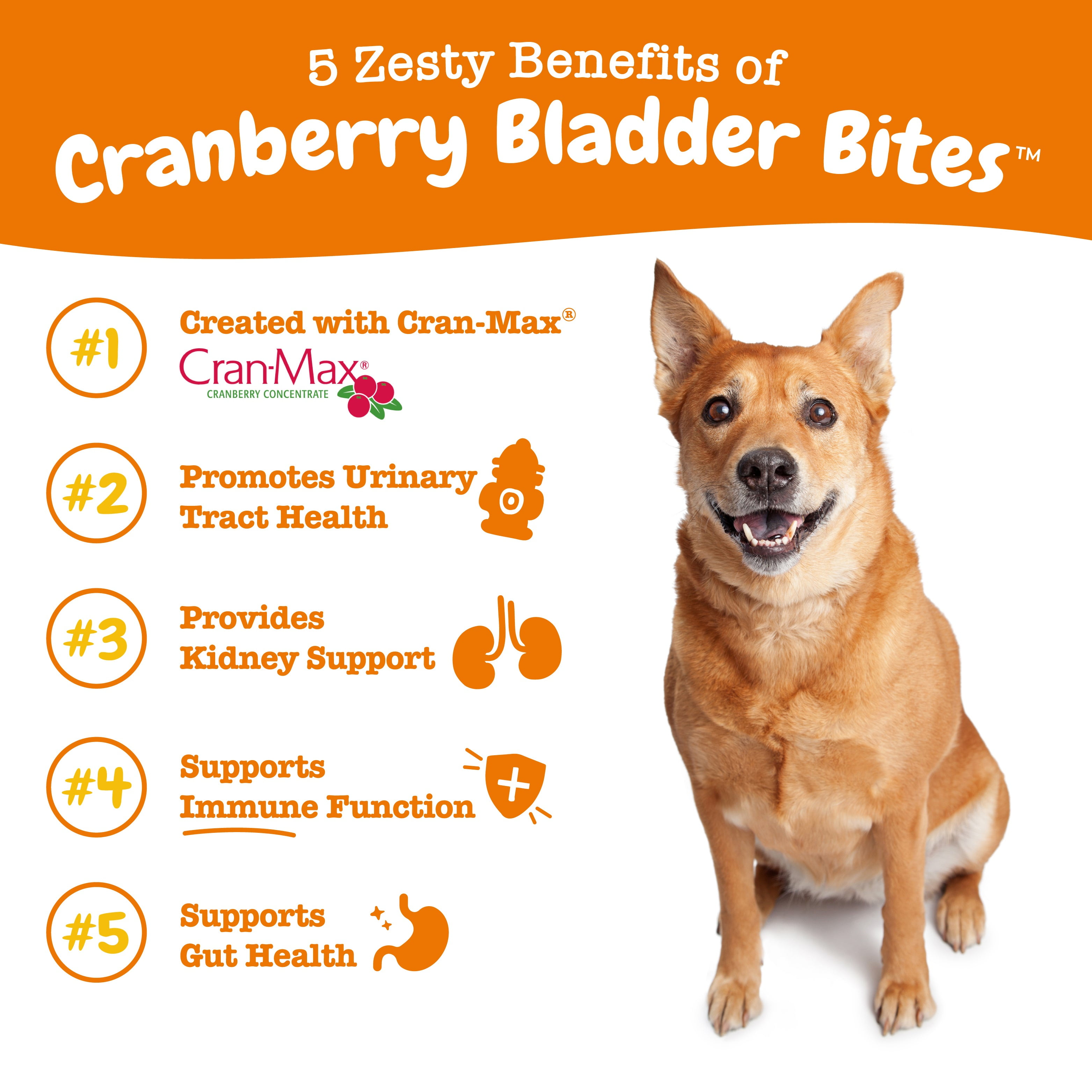 Zesty Paws Cranberry for Dogs - Ut Incontinence Support + Immune Health Dog  Antioxidant - Urinary Tract UTI & Kidney + Bladder Support - D-Mannose +  Organic Marshmallow & Licorice - 90