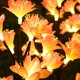 thumbnail image 2 of Lámpara de césped solar con forma de flor impermeable con luz de estaca de jardín LED (rosa 2 piezas) Likrtyny Para estrenar, 2 of 9