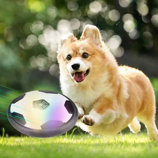 Hearth & Gear Floating LED Sound Pet Toy – For With Dogs On The & Family With Kids Keys for Dogs Things for The Kitchen Game 1 Year Games Girl 4 Years Female Keyboard 32 Keys Middle School Male Or