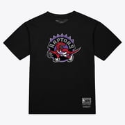 Unisex Mitchell & Ness Black Toronto Raptors Hardwood Classics Arch T-Shirt