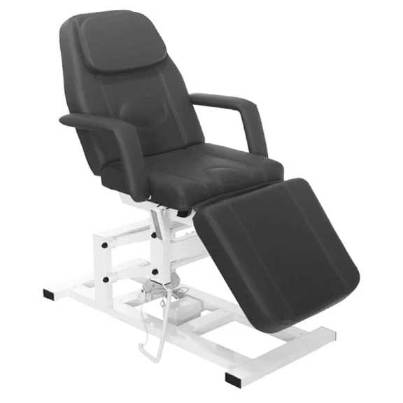 SKINACT Lavo Medical Spa Facial Treatment Table Bed, Chair (Gray)