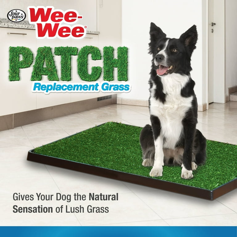 Wee top wee grass