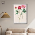 thumbnail image 2 of Art Remedy Botanical Prints Canvas, 30" x 45", Silver Frame, Anemone (1596-1610) by Anselmus, 2 of 7