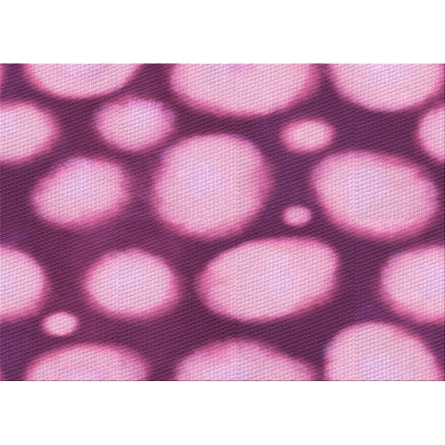 Ahgly Tapis Rectangulaire Lavable en Machine Intérieur Transitionnel Violet Violet, 5 Pieds x 7 Pieds