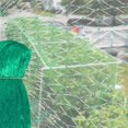 thumbnail image 3 of Bird Protection Net,4 x 10 m Garden Netting Anti-Bird Netting Nylon Protective Net for Plants, 3 of 5