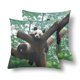 GCKG Panda Ours Pose Drôle dans l'Arbre Jeter Coussin Couvre 18x18 Pouces Set de 2 – image 1 sur 3