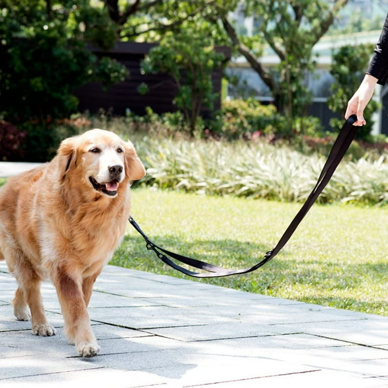 Double dog clearance walker