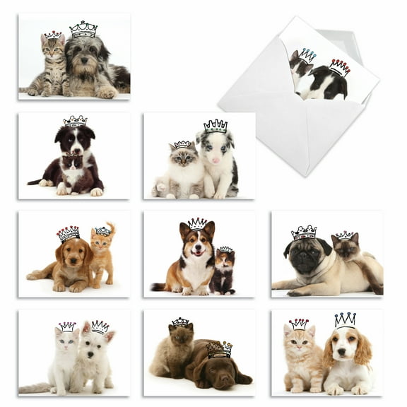 10 All Occasion Blank Note Cards Pack (4 x 5.12 Inch) - COPY CATS M6596OCB
