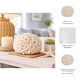 thumbnail image 5 of Coastal Resin Coral Orb for Home & Bathroom Decor - Textured Tabletop Accent for Office Shelf or Kitchen Styling - Decorative Sphere for Living Room, Coffee Table or Mantel Display - 6", Ivory & Tan, 5 of 11