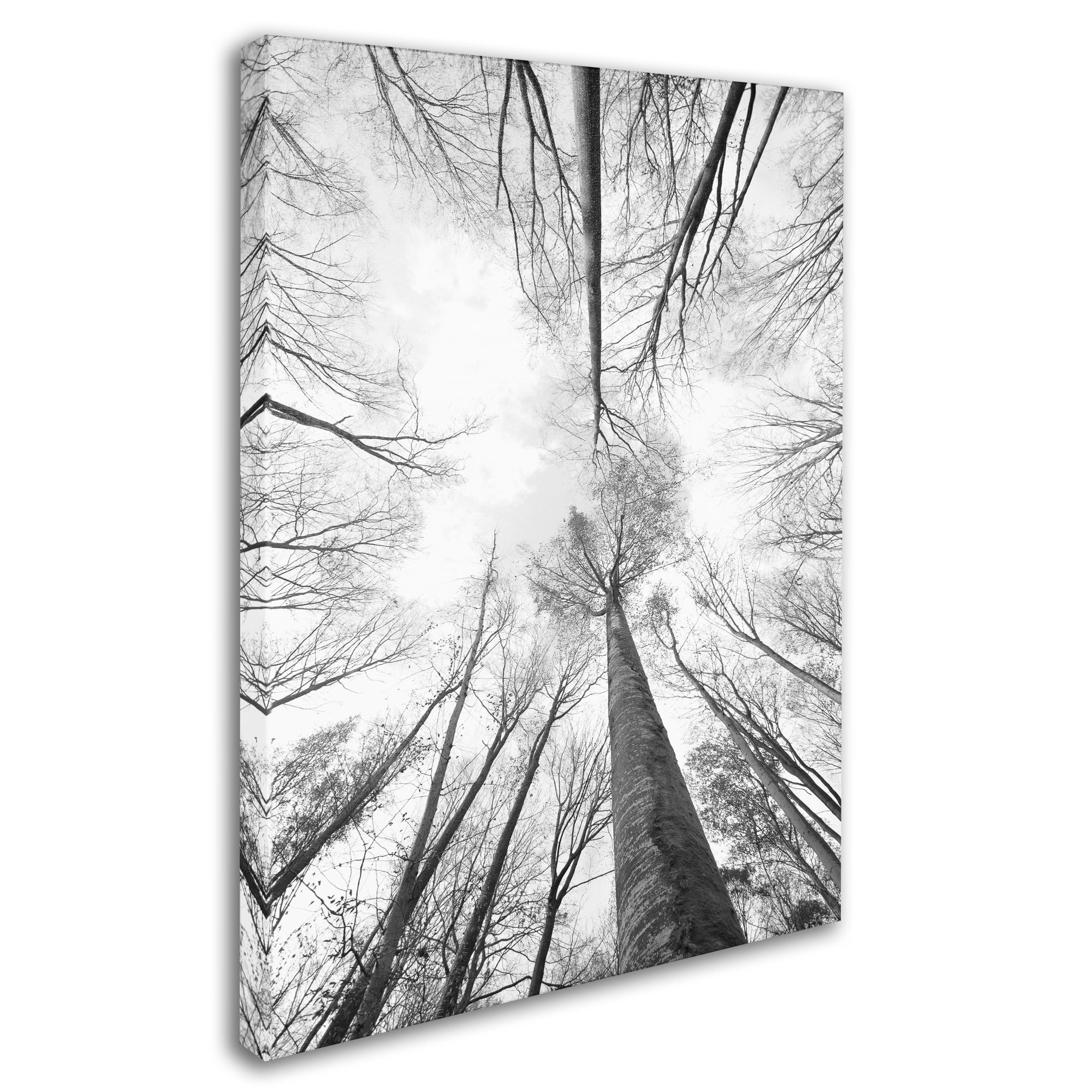 Trademark Fine Art "Recall the Days" Canvas Art by Philippe Sainte-Laudy