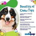thumbnail image 3 of SP MOD Bone Ultra Durable Nylon Dog Chew Toy for Aggressive Chewers, 3 of 5
