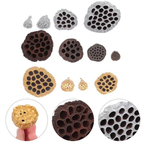 FENGGUIQU 12Pcs Dried Lotus Seedpod Craft Supplies for Unique Home Decor and Seasonal Celebration
