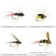 thumbnail image 4 of Soidarity Equipo de pesca con mosca, juego de moscas con caja de almacenamiento, cebo artificial húmedo multicolor, anzuelos para exteriores, Pescar 40 piezas, 4 of 6