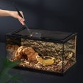 thumbnail image 3 of Pinzas de Alimentación Reptiles Pinzas Curvas Acuario Pinzas Evitar Deslizamientos Juego Pinzas Alimentación para Reptiles Gruesas Acero Inoxidable Serpiente Lagarto ANGGREK  Otros, 3 of 8
