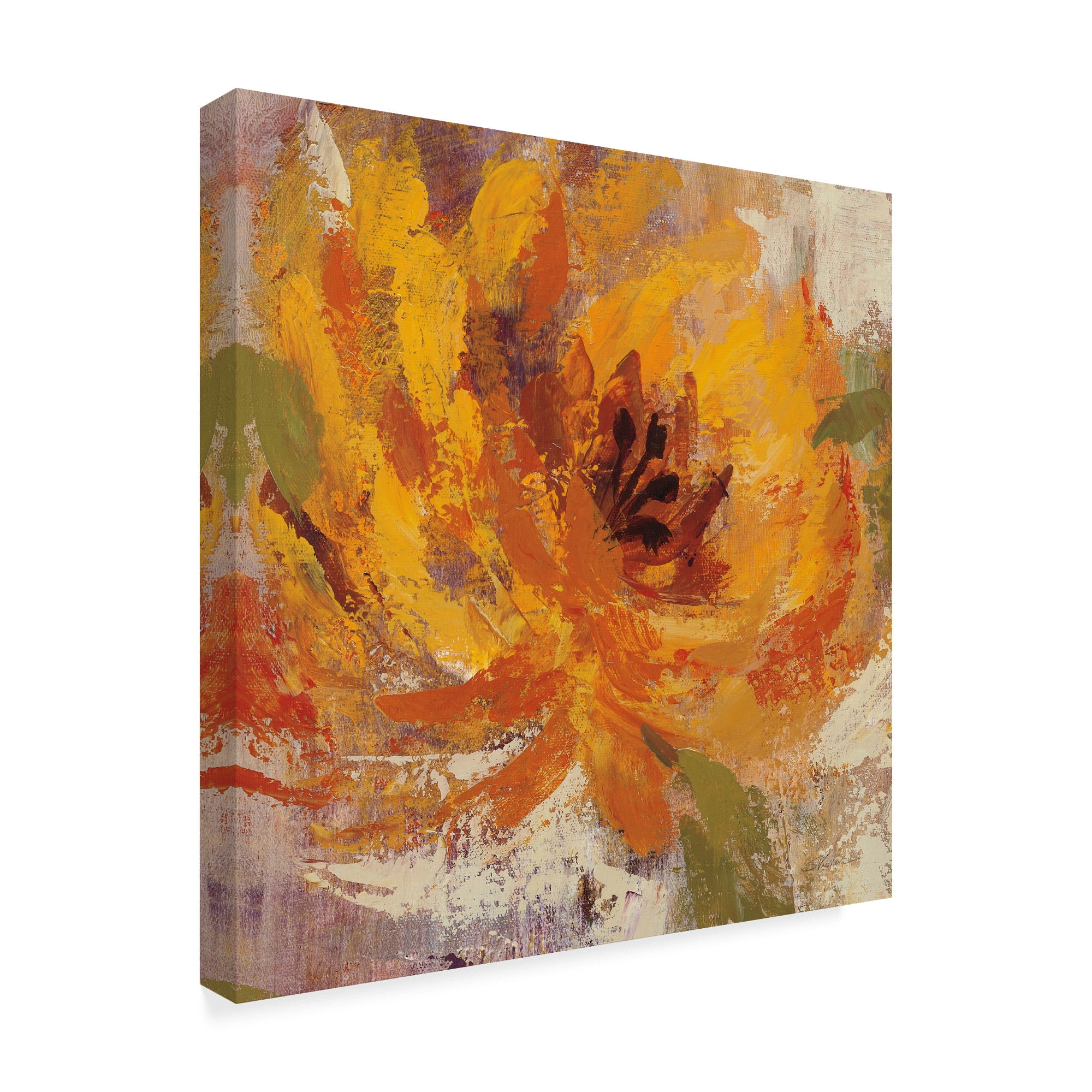 Trademark Fine Art 'Fiery Dahlias I Crop' Canvas Art by Silvia Vassileva