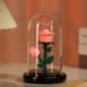 thumbnail image 4 of Luz de Noche con Flores Preservadas | Minilámpara Led Ambiental | Lámpara de Noche con Luz Cálida | Decoración para El Hogar para San Valentín, Cumpleaños y Navidad | Luz de Noche Portátil de Bajo Co, 4 of 6