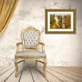 thumbnail image 3 of Bolokofsky, Ronald 18x14 Gold Ornate Wood Framed with Double Matting Museum Art Print Titled - Birch Trees, 3 of 4