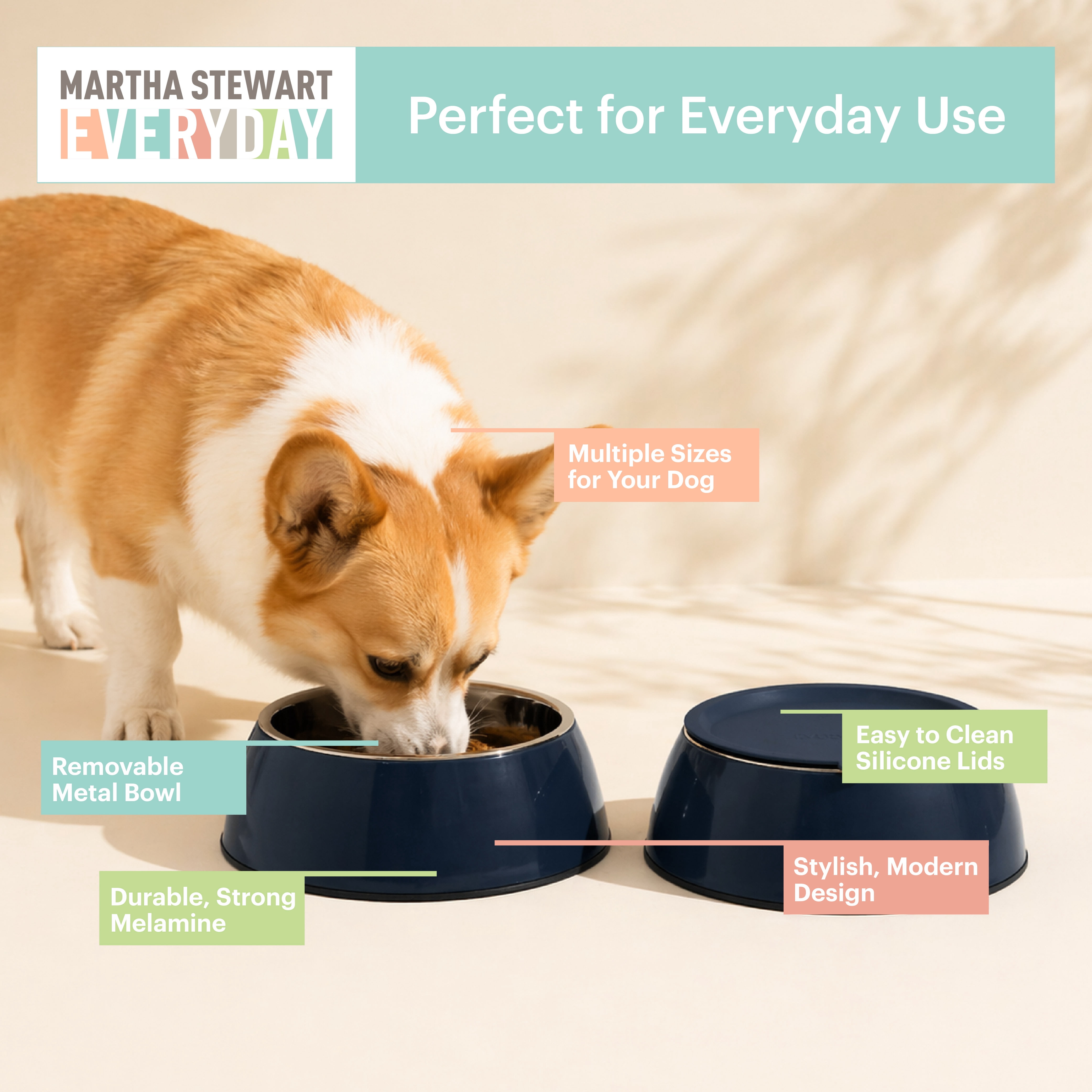 3-in-1 Melamine Dog Bowl Set with Navy Lid for Small/Medium Dogs