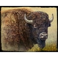 thumbnail image 2 of Vest, Chris 32x26 Black Ornate Wood Framed with Double Matting Museum Art Print Titled - Bison Portrait I, 2 of 4