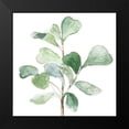 thumbnail image 2 of Loreth, Lanie 12x12 Black Modern Framed Museum Art Print Titled - Fiddle Fig Leaf Plant I, 2 of 5