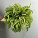 thumbnail image 5 of Apmemiss Artificial Shrubs, Plastic Plants Persian Grass Fern Leaves Fake Bushes Wedding Indoor Outdoor Home Garden Verandah Kitchen Office Table Centerpieces Arrangements Christmas Decoration, 5 of 9