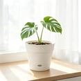 thumbnail image 2 of Root Pruning Breathable Flowerpot, Thickened Round Planter With Air Slots, Prevents Waterlogging And Rot For Houseplant Indoor Decor, 2 of 6