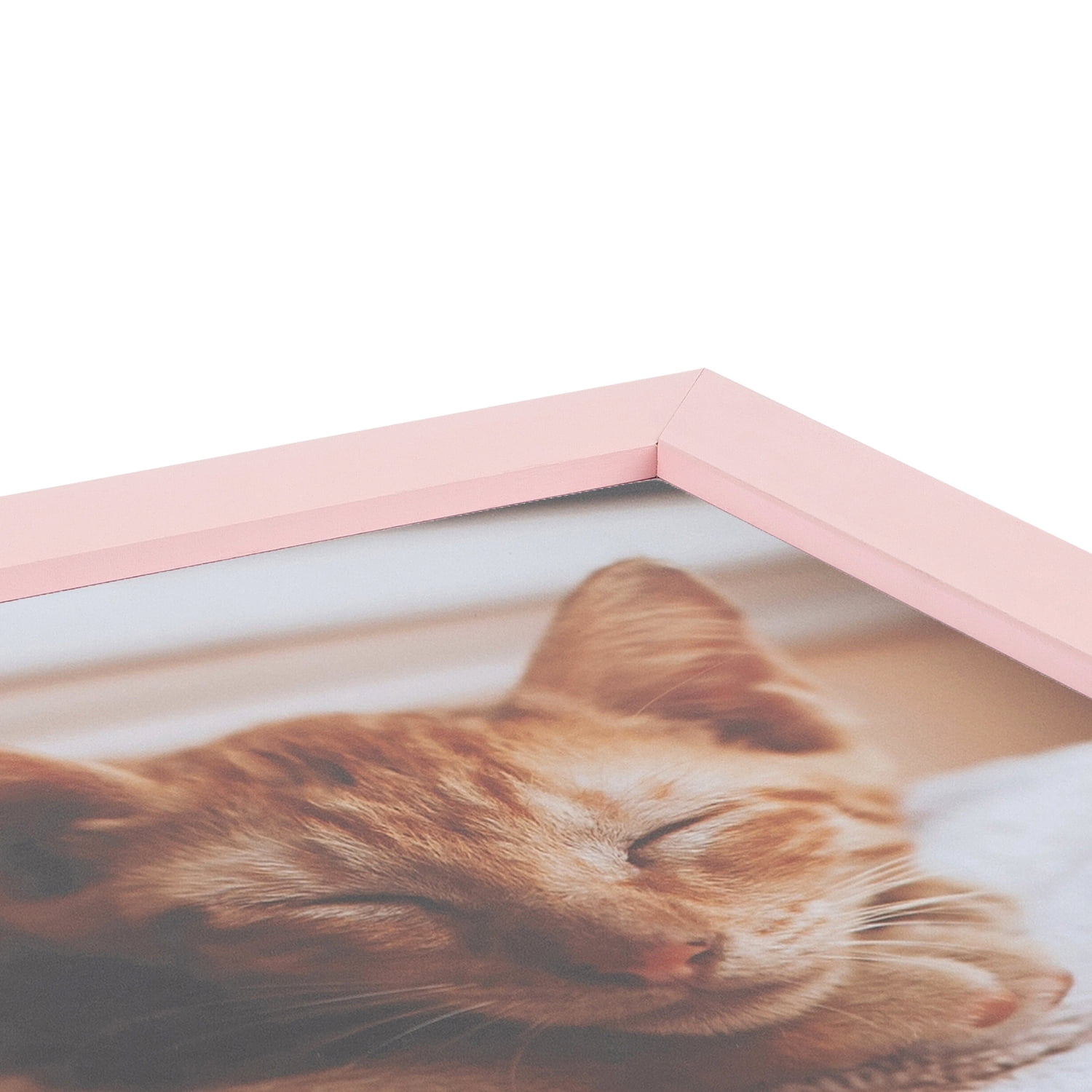 ArtToFrames 18" x 24" Pink Picture Frame, 18x24 inch Pink Wood Poster Frame (WOM-4120), 5 Pack